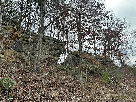 4th image of 151 Walter Crabtree Rd