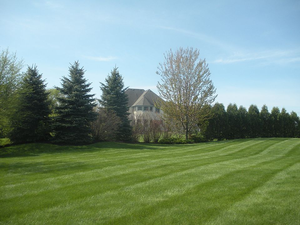Park like back yard