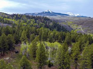 LOT 13-5 M44 Rd, Placerville, CO 81430