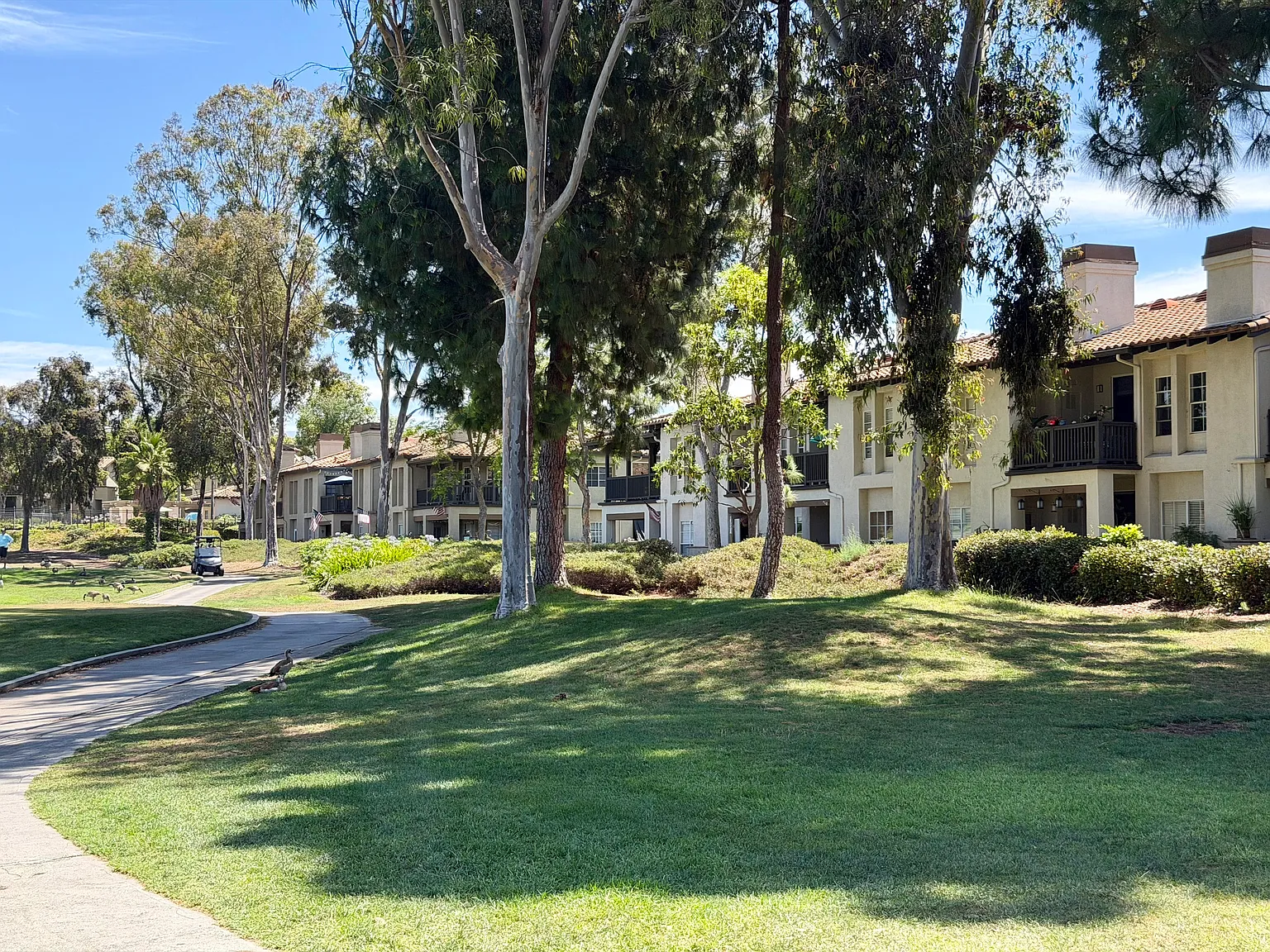 1 bed, 643 sqft, $2,800 — Photo 1