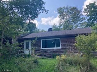 10232 Chillicothe Rd, Kirtland, OH 44094