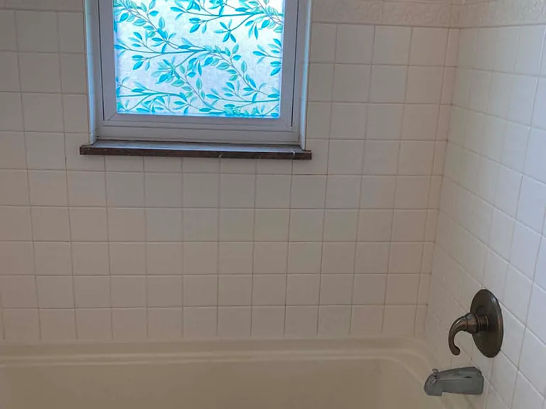 Bath with Jacuzzi tub