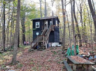 Gas Hollow Rd, Newfoundland, PA 18445