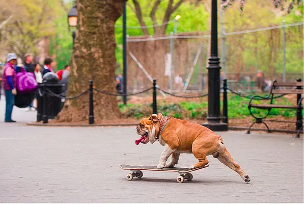 Rented by Compass | media 30