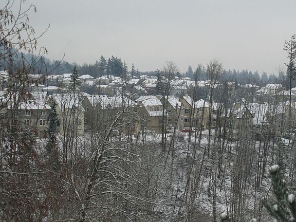 View from Upstairs