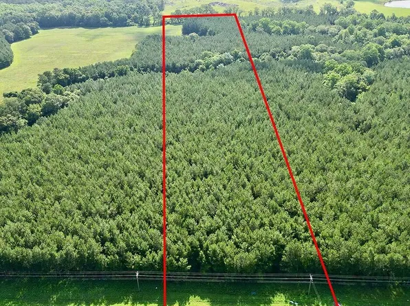 0 Us Highway 231 Lot 9, Brundidge, AL 36010