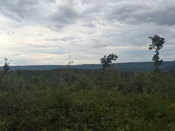 LOT 2 Bethel Rd, Valley Head, AL 35989