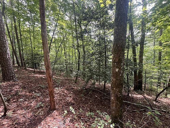3rd image of LOT 666 Nugget Ln