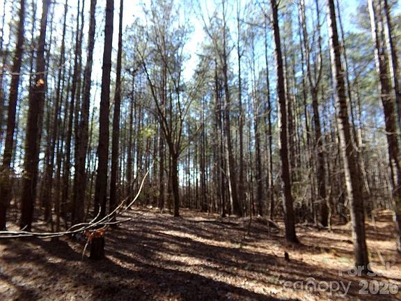 2nd image of 42 Ac Ln #55