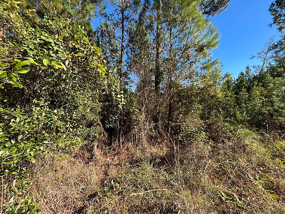 5th image of 223 Mourning Dove Road