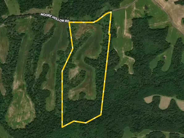 Moore Hollow Rd, Indian Mound, TN 37079
