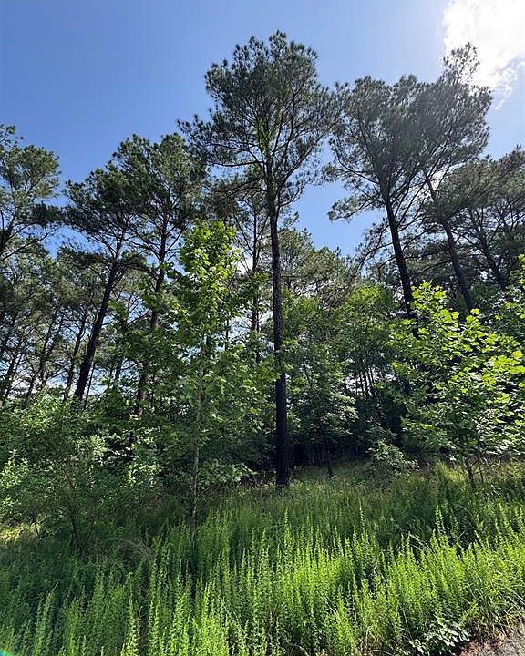 1st image of 87 Blue Maple Trail