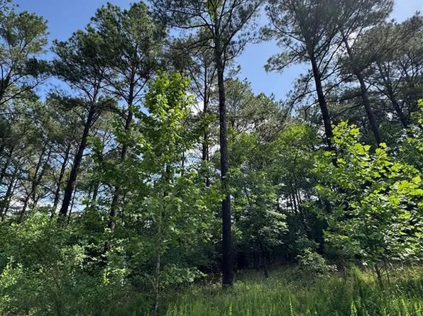 87 Blue Maple Trl, Broken Bow, OK 74728