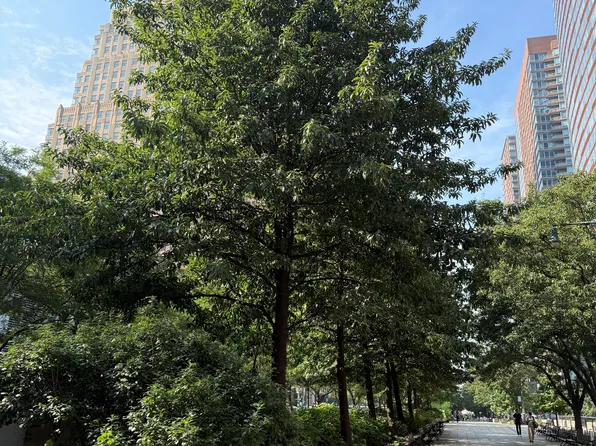 10 Little West Street image 22 of 28