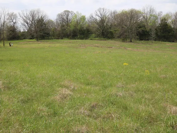 000 River Pass Drive Drive Lot 6 & 11, Marshfield, MO 65706