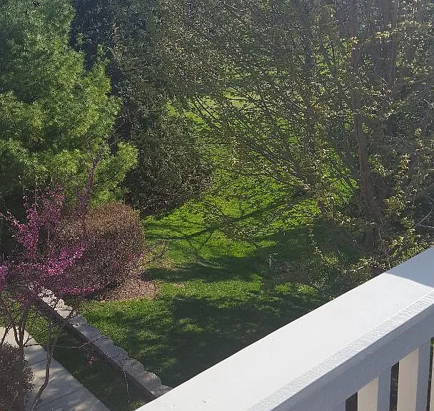 2916 Concord Ln #2916 — Photo 2