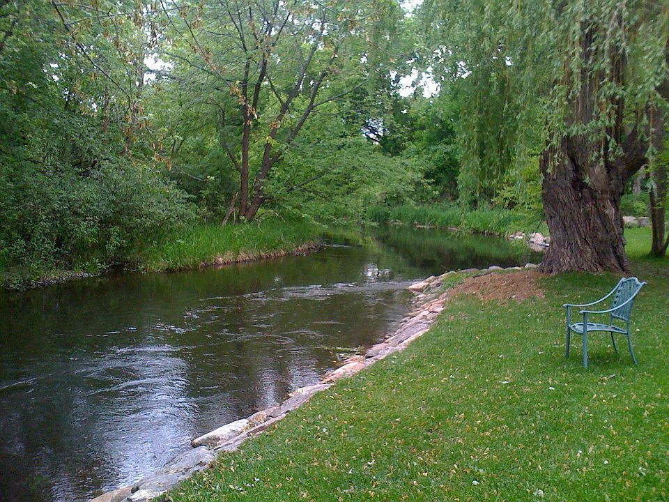 Backyard with creek