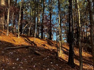 3724 Chestnut Ridge Ln Lot 2-B, Birmingham, AL 35216