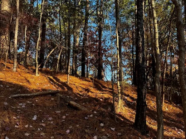 3724 Chestnut Ridge Ln Lot 2-B, Birmingham, AL 35216