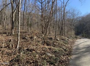 Dunville Gap Rd, Rutledge, TN 37861