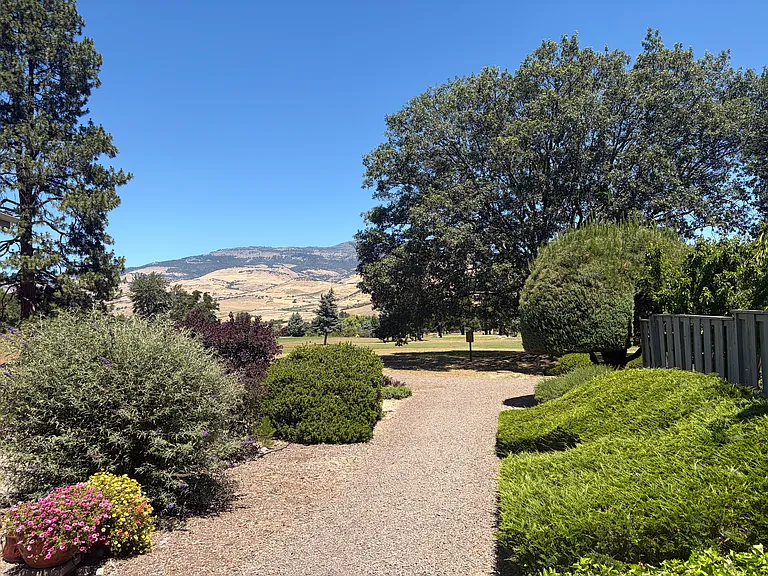 888 Cypress Point Loop — Photo 16