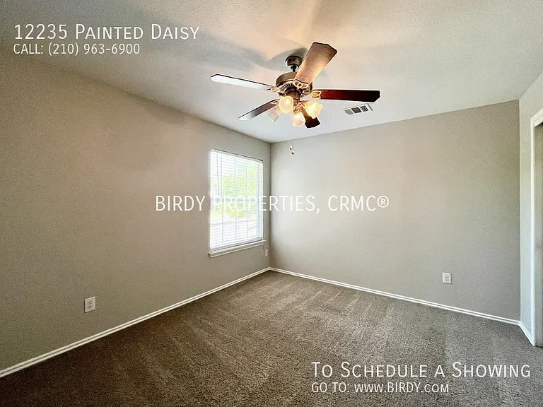 12235 Painted Daisy — Photo 29