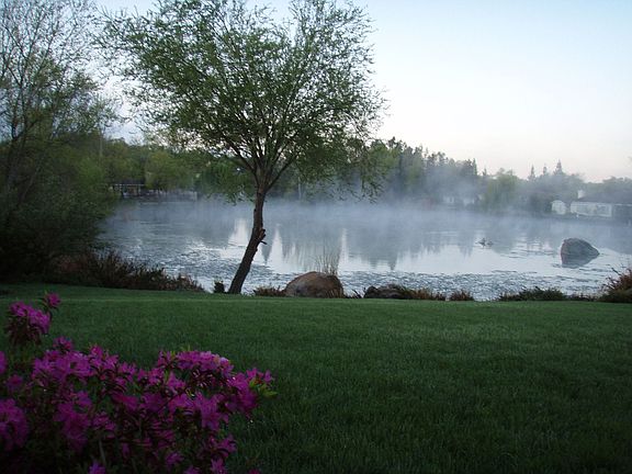 Backyard View - Spring