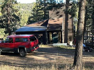 119 Yew Ln, Bailey, CO 80421