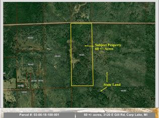 3120 E Gill Rd, Carp Lake, MI 49718