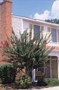 2nd image of 101 Ridge Rd APT 10