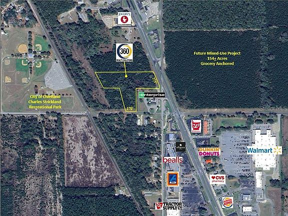 3rd image of TBD US HWY 19 (N YOUNG BLVD)