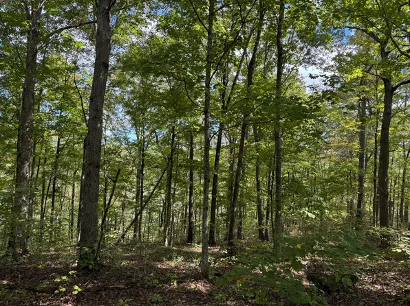 84-85 86 Sandstone Point Trl, Monticello, KY 42633