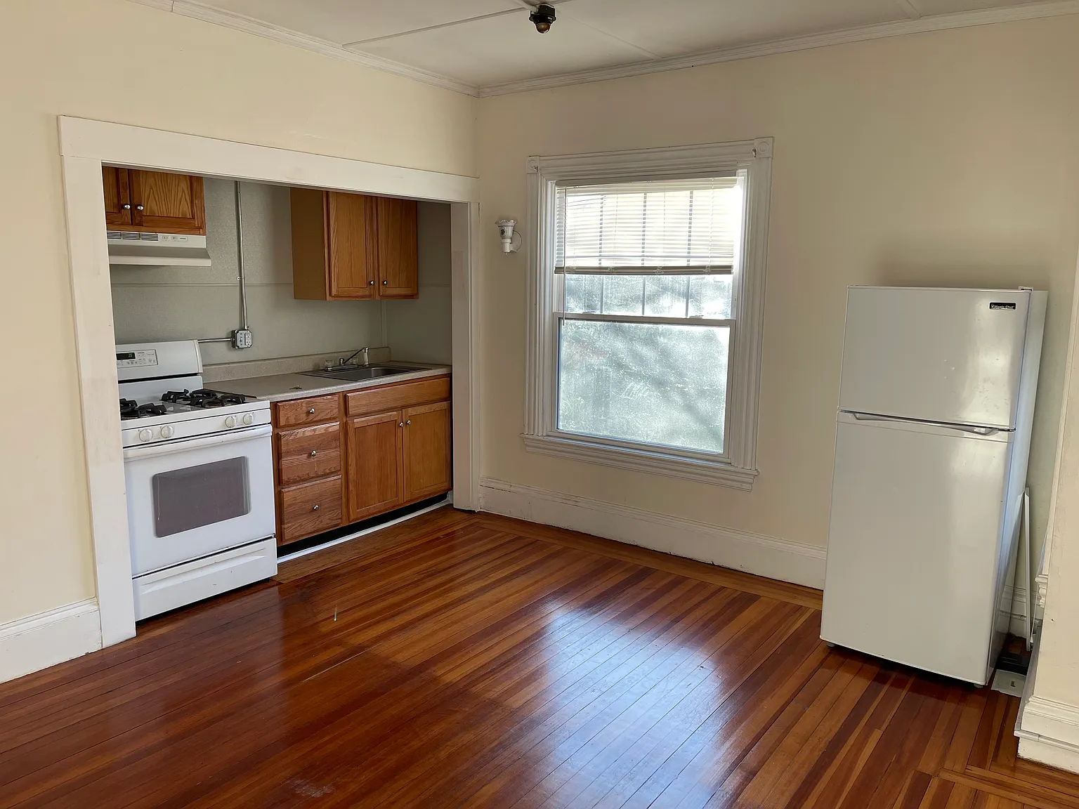 Studio, $1,350 — Photo 4