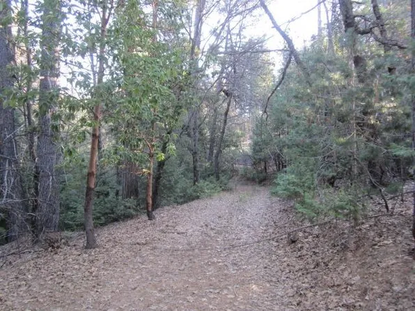 6222 Pineneedle Ln, Placerville, CA 95667