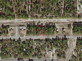 3221 W Wilhelm St, Citrus Springs, FL 34433