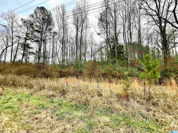 0 Highway 231 #0, Cropwell, AL 35054