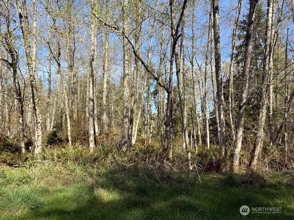 0 Lot 15 Ander Park Road, Freeland, WA 98249