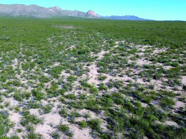 La Deffensa Rd #167, Douglas, AZ 85607