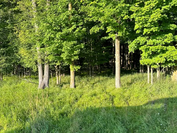 None CONDROSKI RD, Commonwealth Town, WI 54121