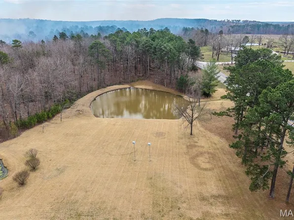 17075 Highway Bb, Licking, MO 65542