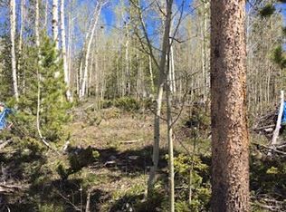 2026 Gcr #88, Granby, CO 80446