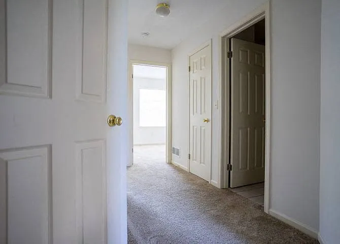 Webster Woods Townhouse Apartments — Photo 35
