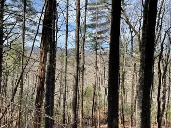 60 Highway, Suches, GA 30572