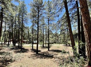 373 Pine Valley Rd, Bayfield, CO 81122