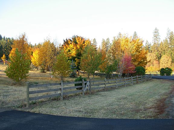 Lower Field
