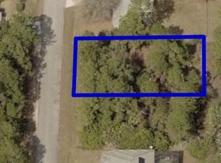 225 Jacaranda Ave NW, Palm Bay, FL 32907