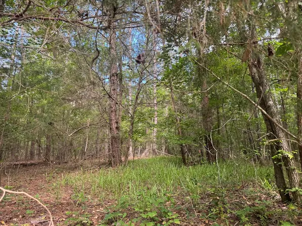 0 Melody Dr, Waverly Hall, GA 31831