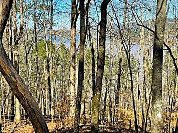 0 Overlook Dr #20, Chatsworth, GA 30705