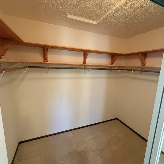 467 Lupine Cir — Photo 47