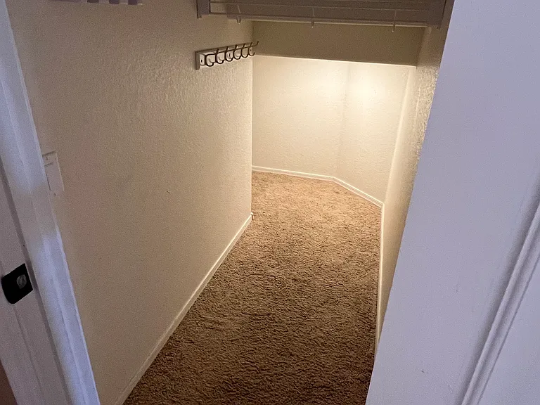 lit large closet under stairwell for coats, luggage, or play area for children on first floor near front door